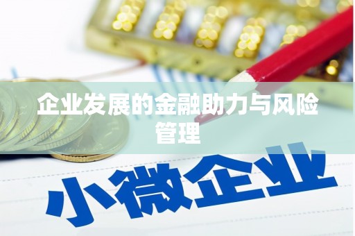 延津企业发展的金融助力与风险管理
