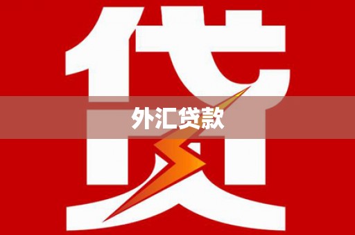 延津外汇贷款