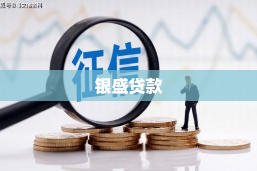 延津银盛贷款