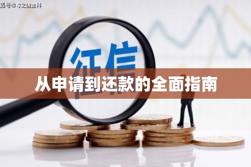 延津从申请到还款的全面指南