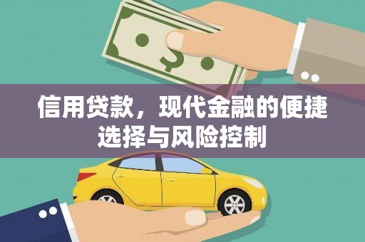 延津信用贷款，现代金融的便捷选择与风险控制
