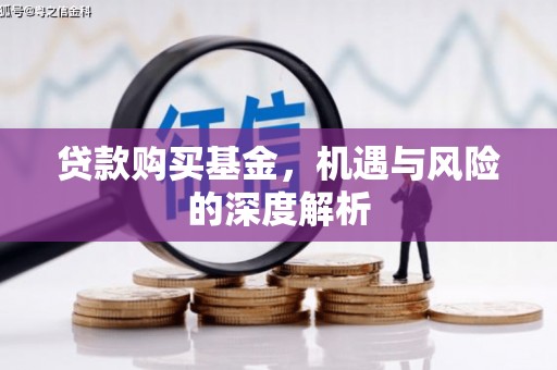 延津贷款购买基金，机遇与风险的深度解析
