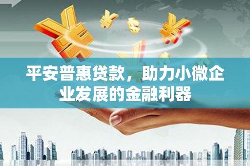 延津平安普惠贷款，助力小微企业发展的金融利器
