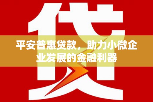 延津平安普惠贷款，助力小微企业发展的金融利器