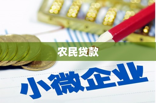 延津农民贷款