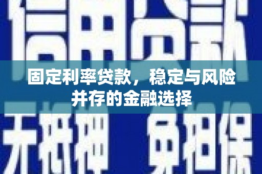 延津固定利率贷款，稳定与风险并存的金融选择