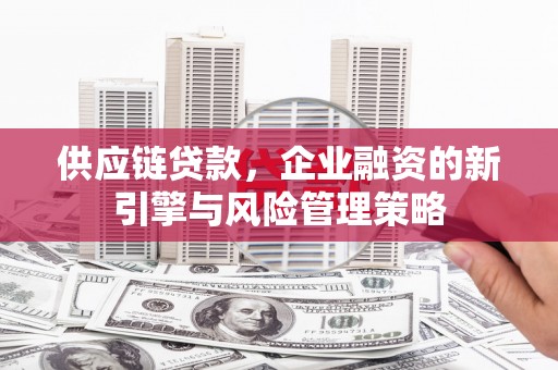 延津供应链贷款，企业融资的新引擎与风险管理策略