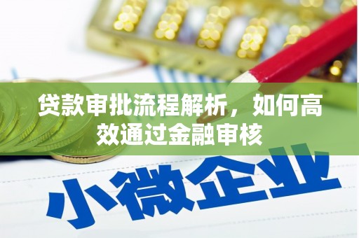 延津贷款审批流程解析，如何高效通过金融审核