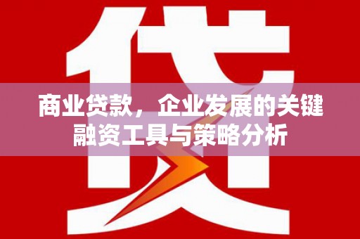 延津商业贷款，企业发展的关键融资工具与策略分析