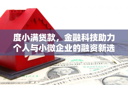 延津度小满贷款，金融科技助力个人与小微企业的融资新选择