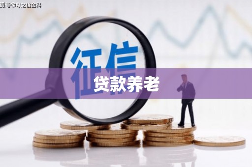延津贷款养老