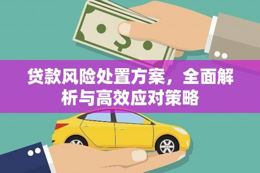 延津贷款风险处置方案，全面解析与高效应对策略