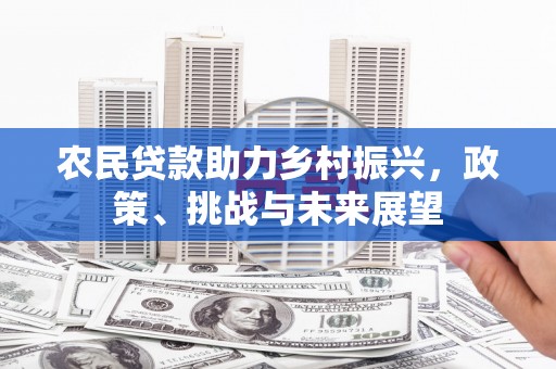 延津农民贷款助力乡村振兴，政策、挑战与未来展望