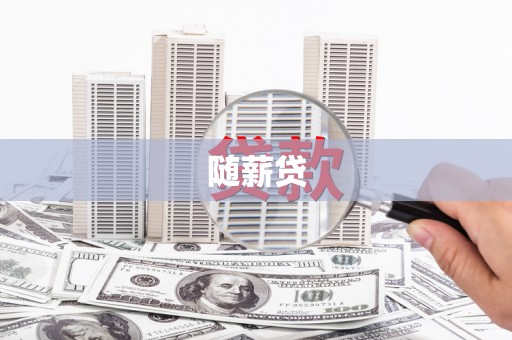 延津随薪贷