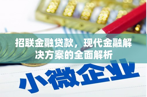 延津招联金融贷款，现代金融解决方案的全面解析