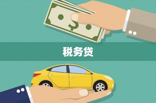 延津税务贷