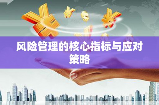 延津风险管理的核心指标与应对策略