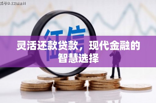 延津灵活还款贷款，现代金融的智慧选择