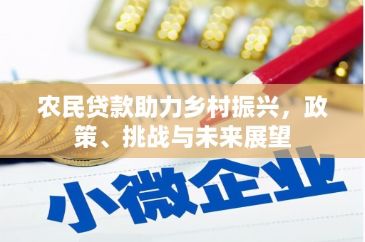 延津农民贷款助力乡村振兴，政策、挑战与未来展望