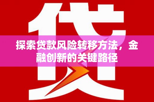 延津探索贷款风险转移方法，金融创新的关键路径