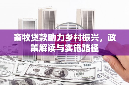 延津畜牧贷款助力乡村振兴，政策解读与实施路径