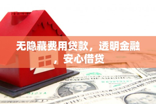 延津无隐藏费用贷款，透明金融，安心借贷