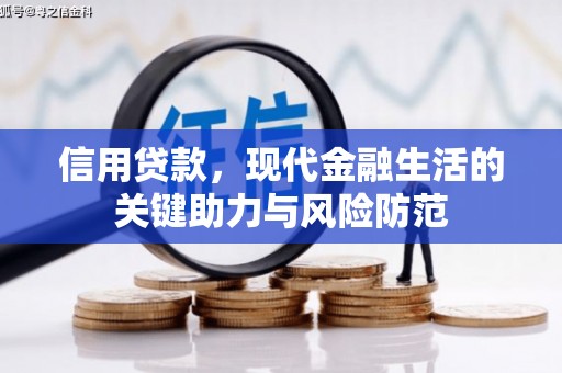 延津信用贷款，现代金融生活的关键助力与风险防范