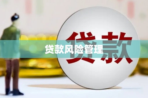 延津贷款风险管理
