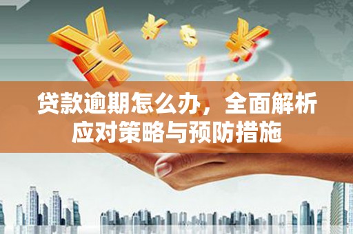 延津贷款逾期怎么办，全面解析应对策略与预防措施