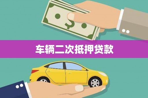 延津车辆二次抵押贷款