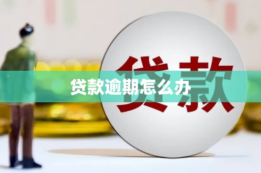 延津贷款逾期怎么办