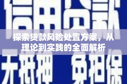 延津探索贷款风险处置方案，从理论到实践的全面解析