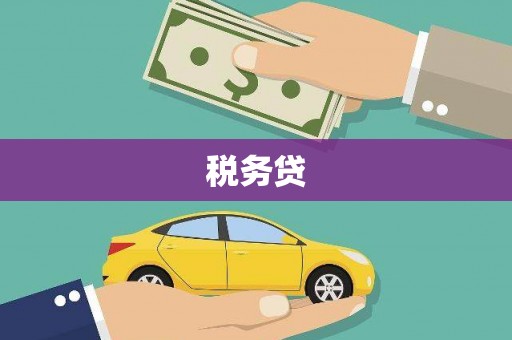 延津税务贷