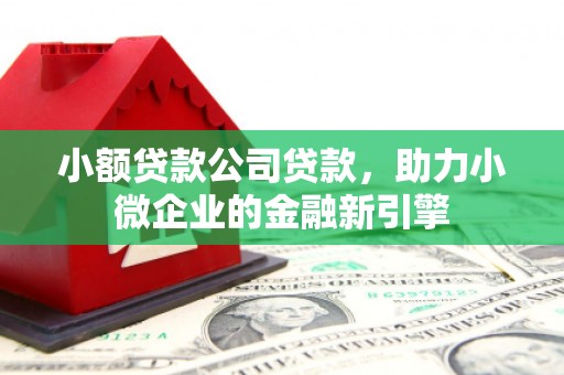 延津小额贷款公司贷款，助力小微企业的金融新引擎