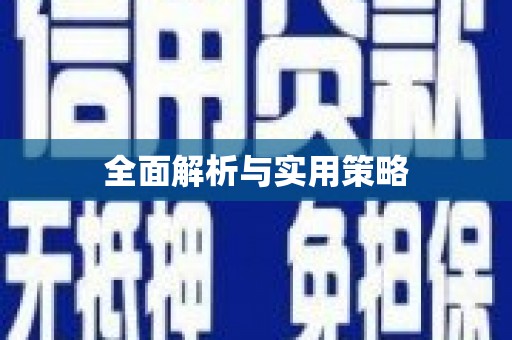 延津全面解析与实用策略
