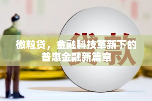 延津微粒贷，金融科技革新下的普惠金融新篇章