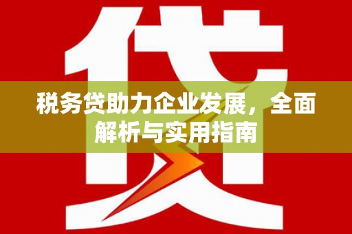 延津税务贷助力企业发展，全面解析与实用指南