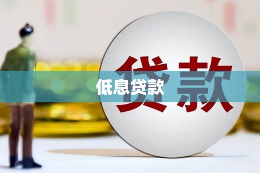 延津低息贷款