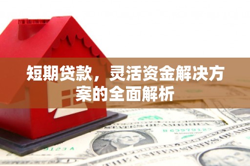 延津短期贷款，灵活资金解决方案的全面解析