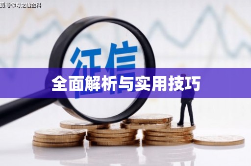 延津全面解析与实用技巧