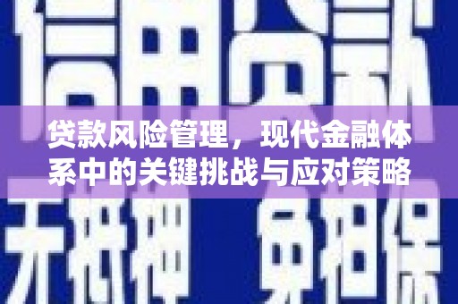 延津贷款风险管理，现代金融体系中的关键挑战与应对策略