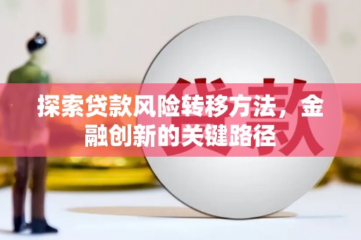 延津探索贷款风险转移方法，金融创新的关键路径