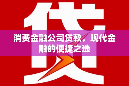 延津消费金融公司贷款，现代金融的便捷之选