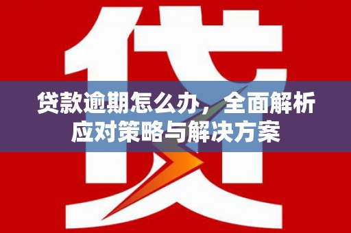 延津贷款逾期怎么办，全面解析应对策略与解决方案