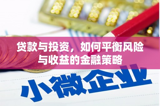 延津贷款与投资，如何平衡风险与收益的金融策略