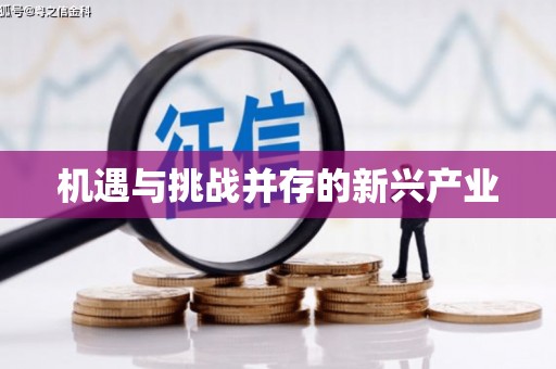 延津机遇与挑战并存的新兴产业