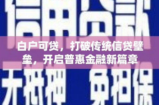 延津白户可贷，打破传统信贷壁垒，开启普惠金融新篇章