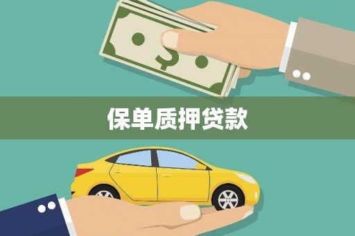 延津保单质押贷款