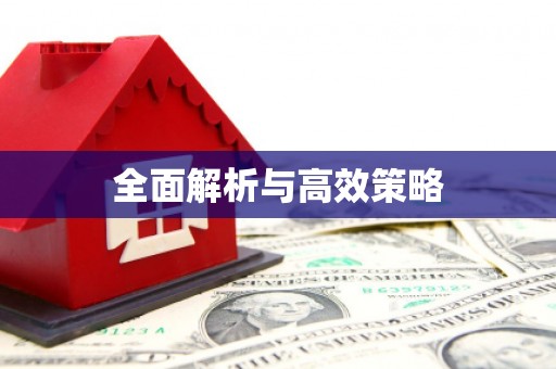 延津全面解析与高效策略
