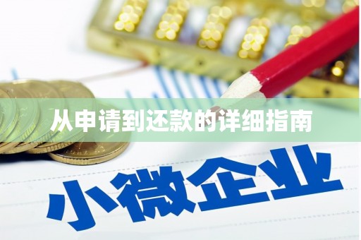 延津从申请到还款的详细指南